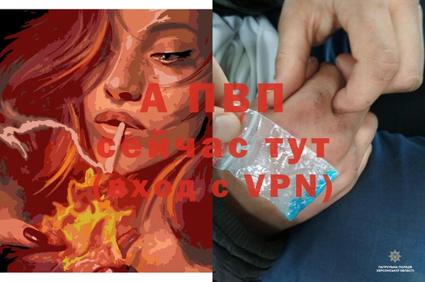 2c-b Баксан